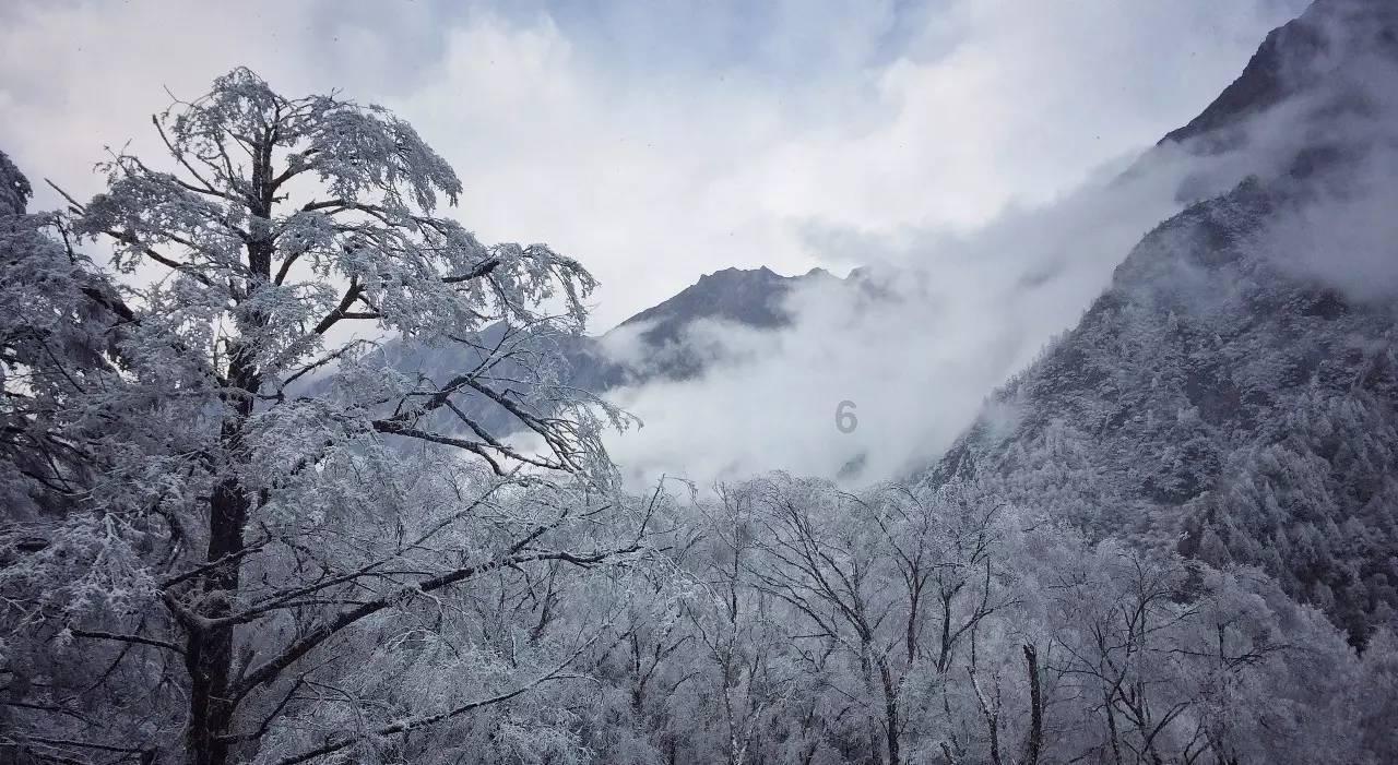 奇迹暖暖
